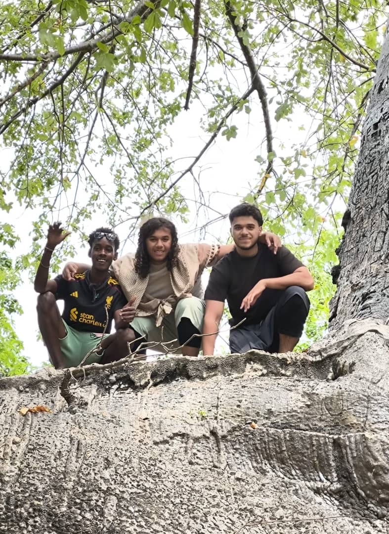 Wise Yasir with guests beneath a large tree