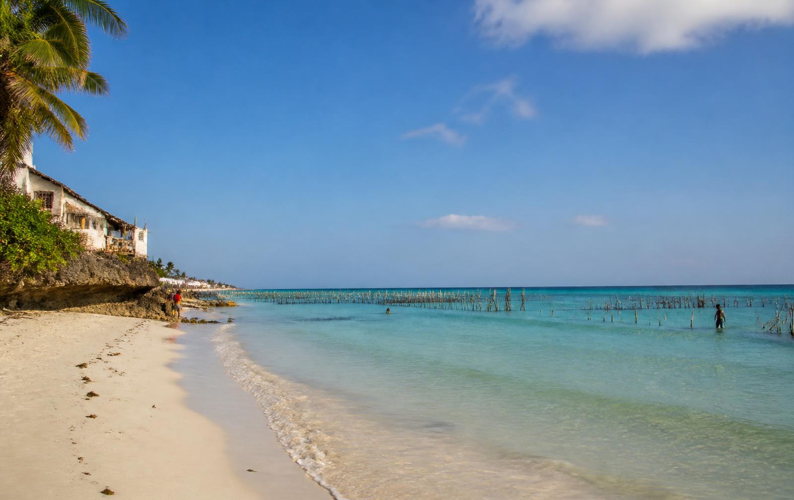 Zanzibar beach under clear dry-season skies with seaweed farming poles offshore
