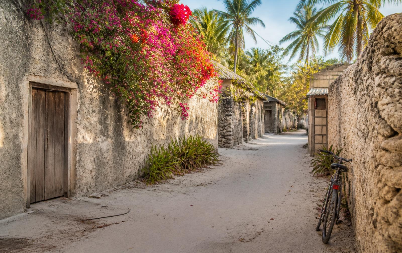 Sandy village lane with coral stone walls and bougainvillea in Jambiani