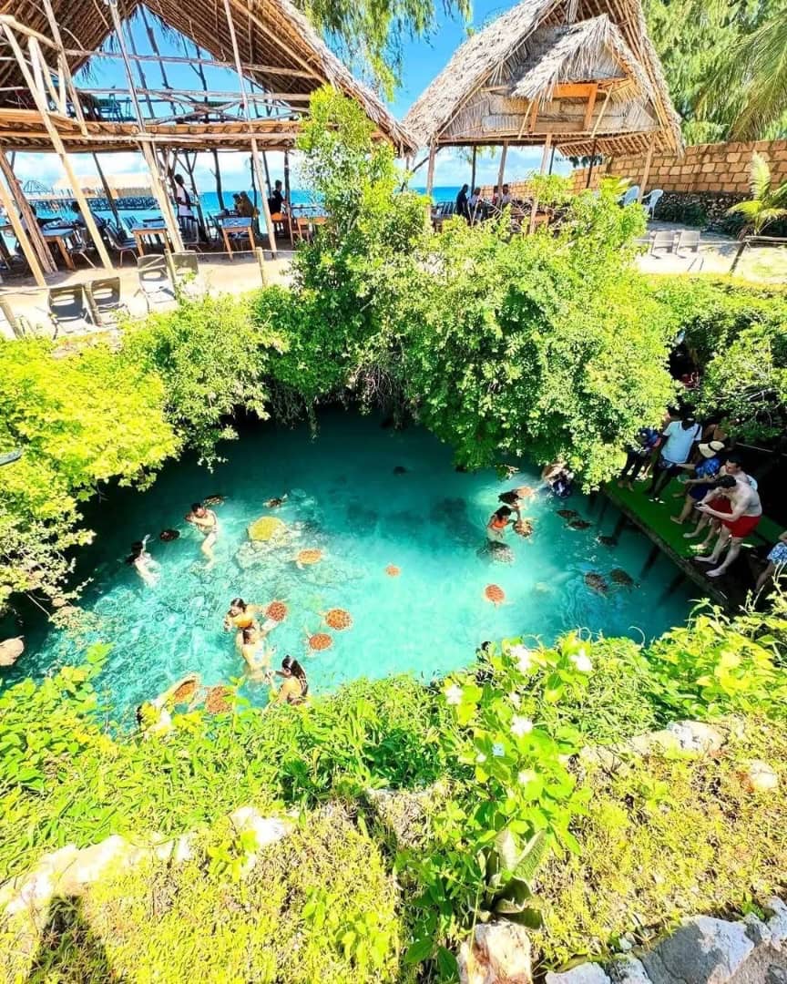 Clear turquoise turtle cave surrounded by greenery