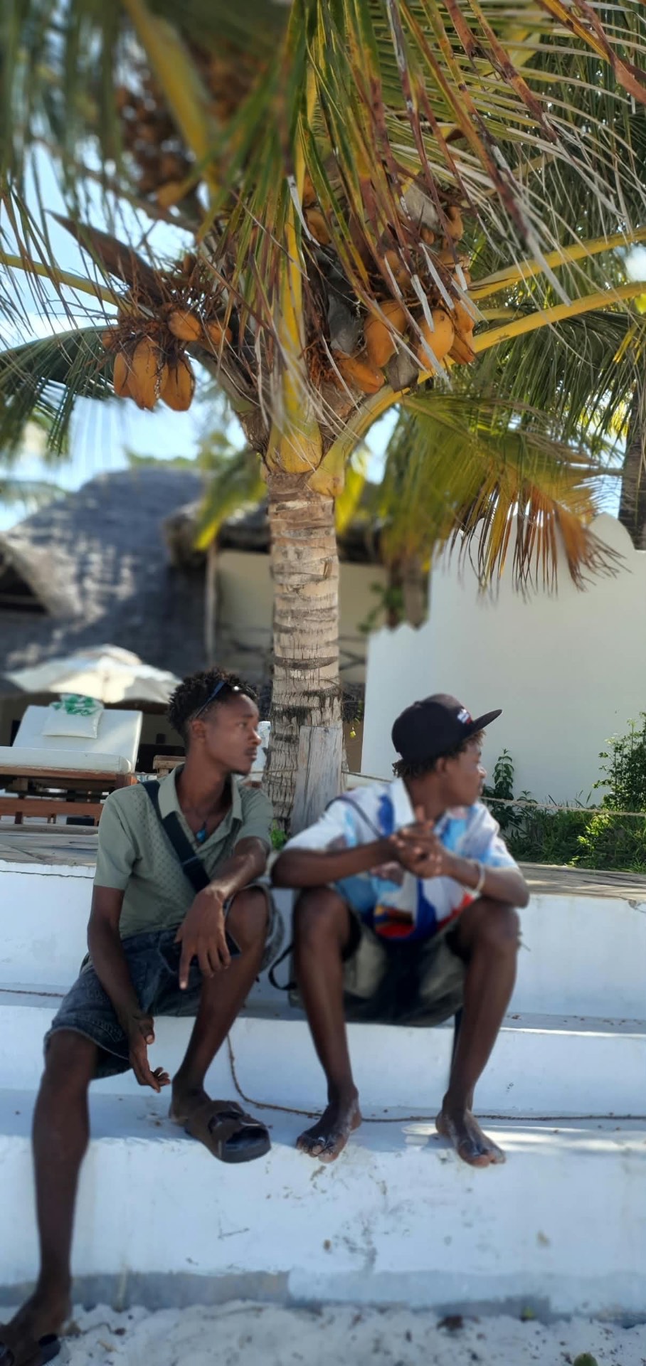 Wise Yasir, in a green shirt, sitting beneath a coconut palm in Zanzibar