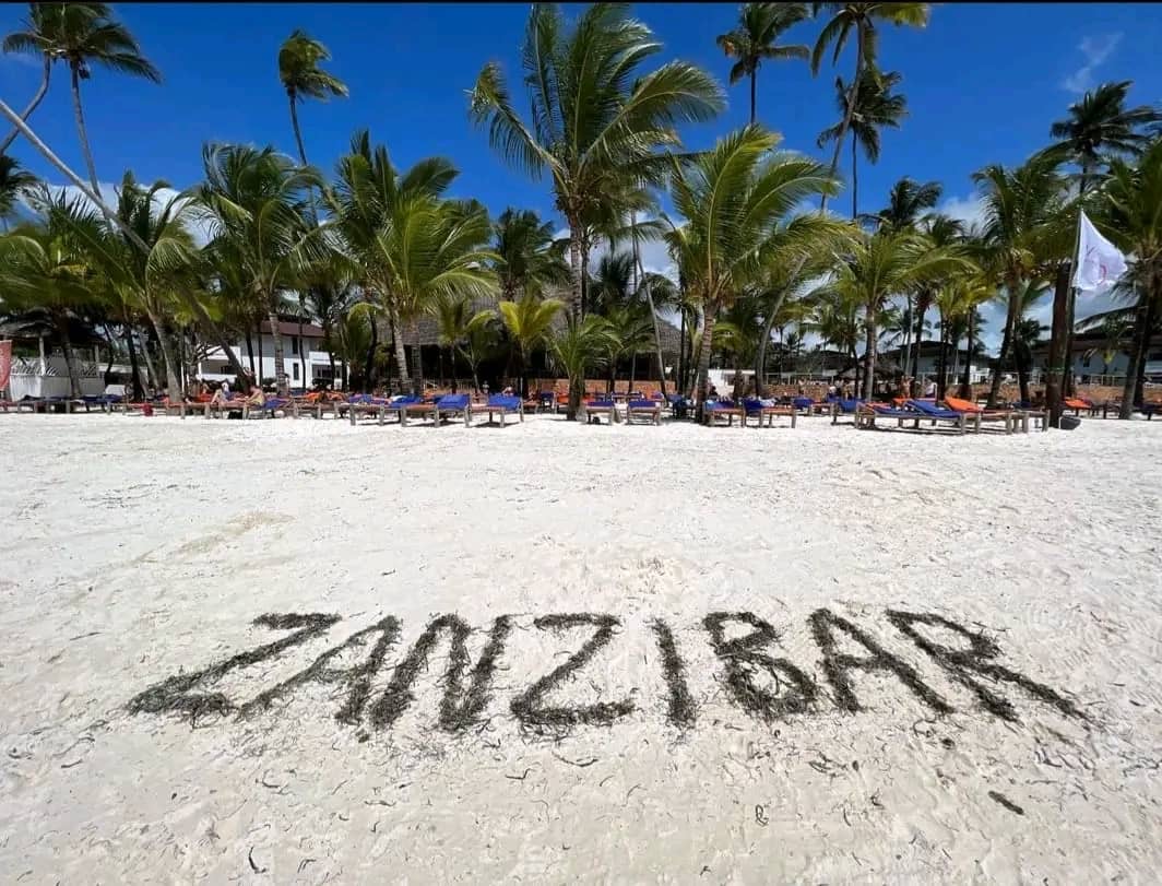 White sand and palm trees at Jambiani beach