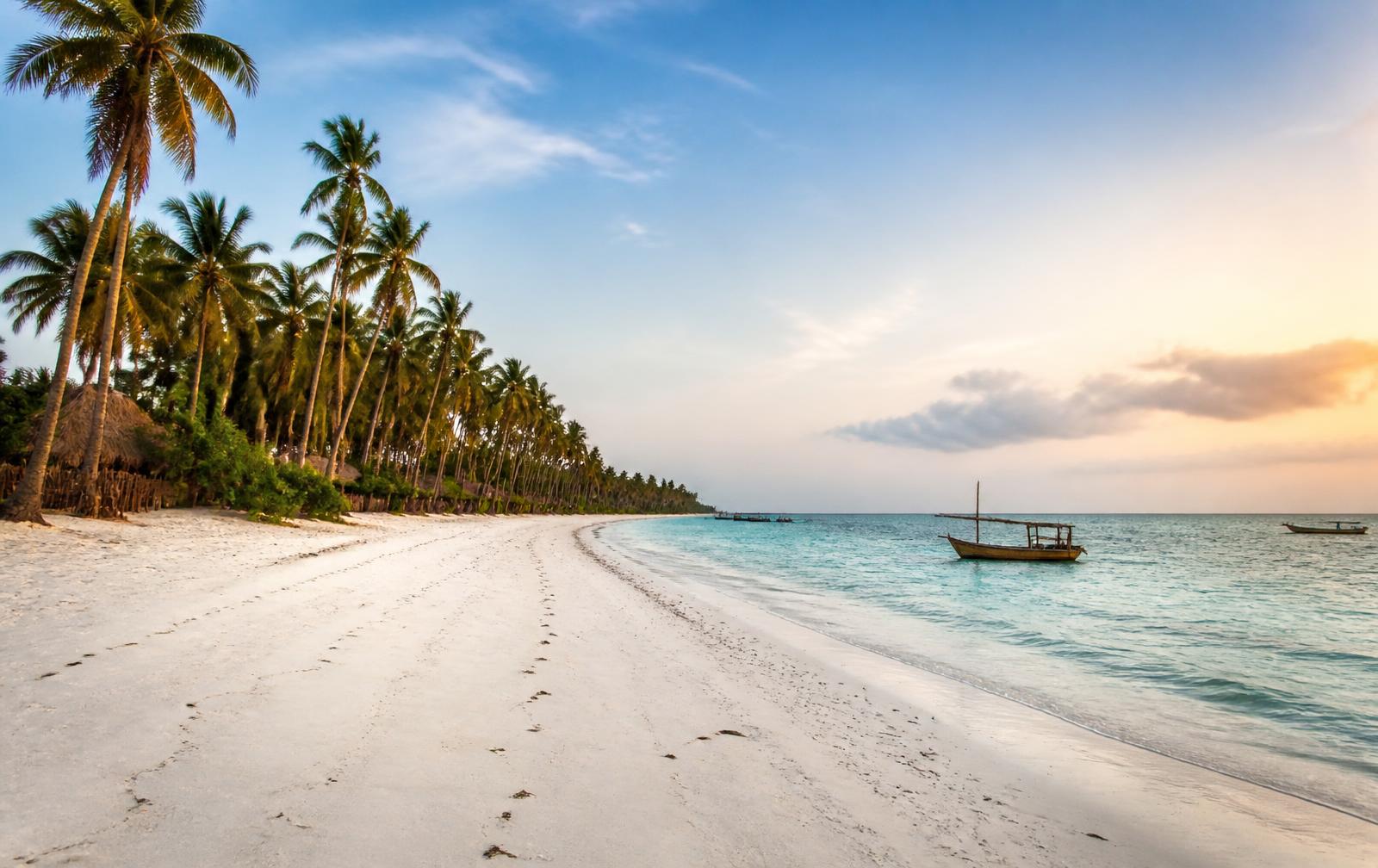 Empty palm-lined white sand beach at Bwejuu, southeast Zanzibar, at sunset