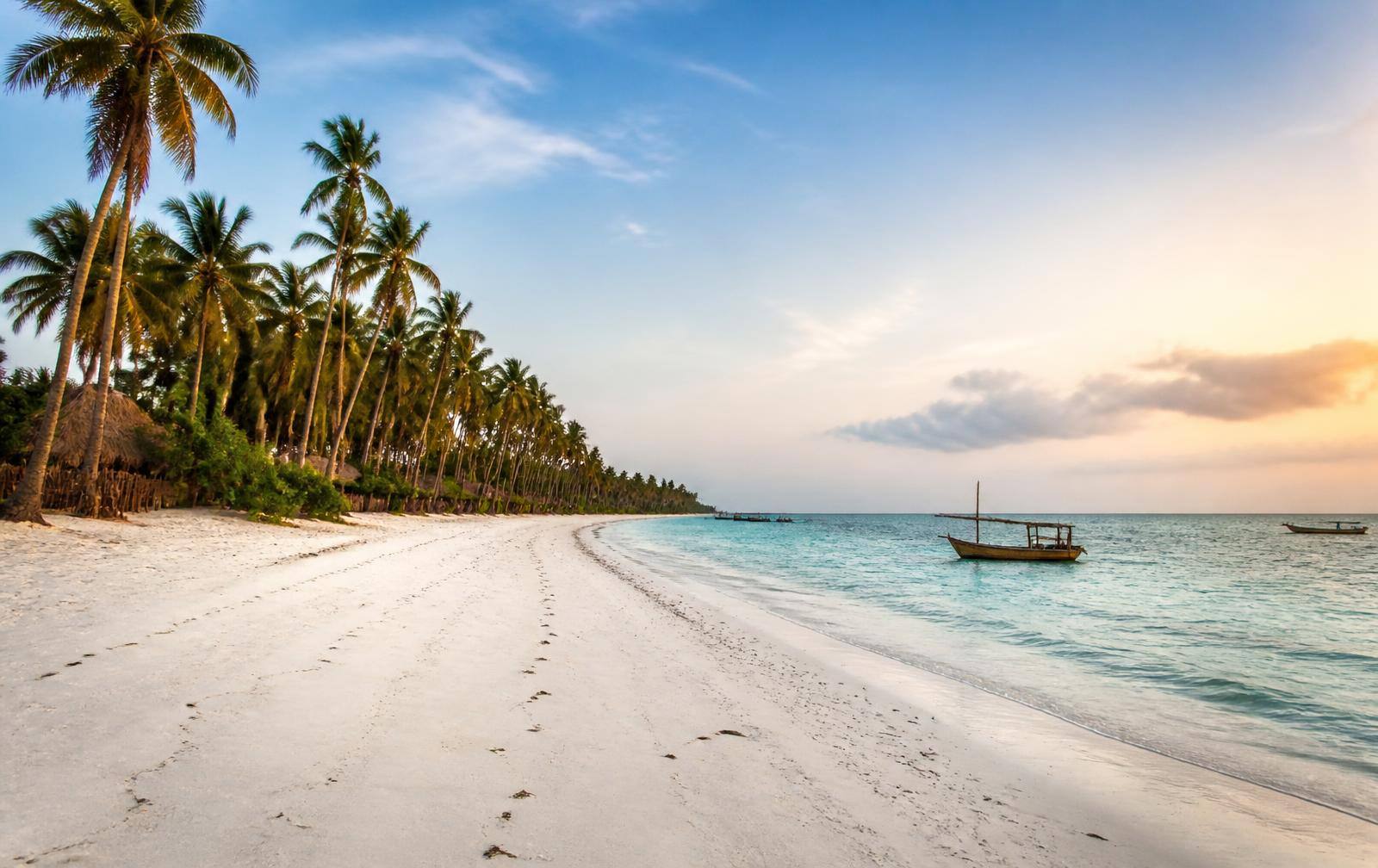 Empty palm-lined white sand beach at Bwejuu, southeast Zanzibar, at sunset