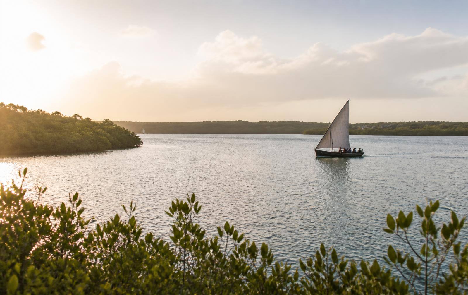 Traditional dhow sailing past mangroves in Menai Bay near Fumba, Zanzibar
