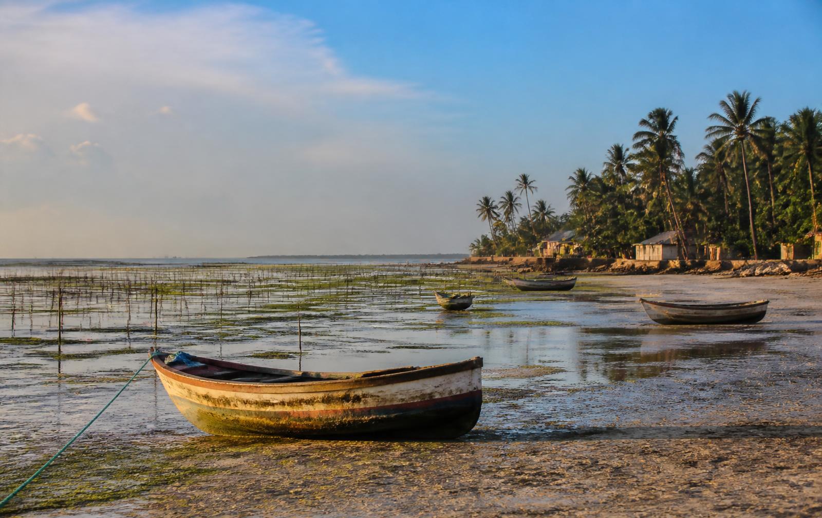 Fishing boats and seaweed farming poles on the shallow lagoon at Matemwe, Zanzibar